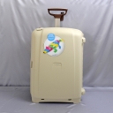 Samsonite,  , d19.015.064